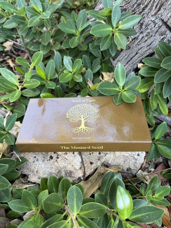Your Seed of Faith Box - Image 2